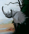 Black Rhino.gif (27631 bytes)